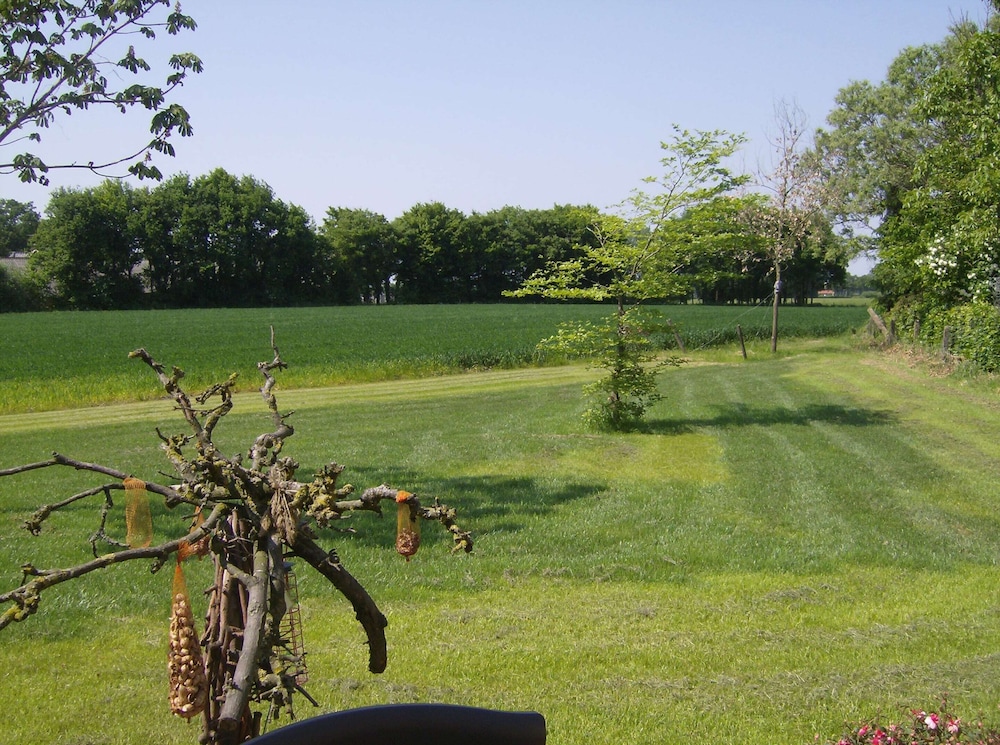 Pet-friendly Getaway, photo 34