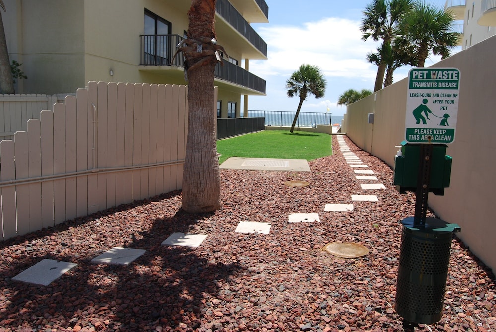 The Palms