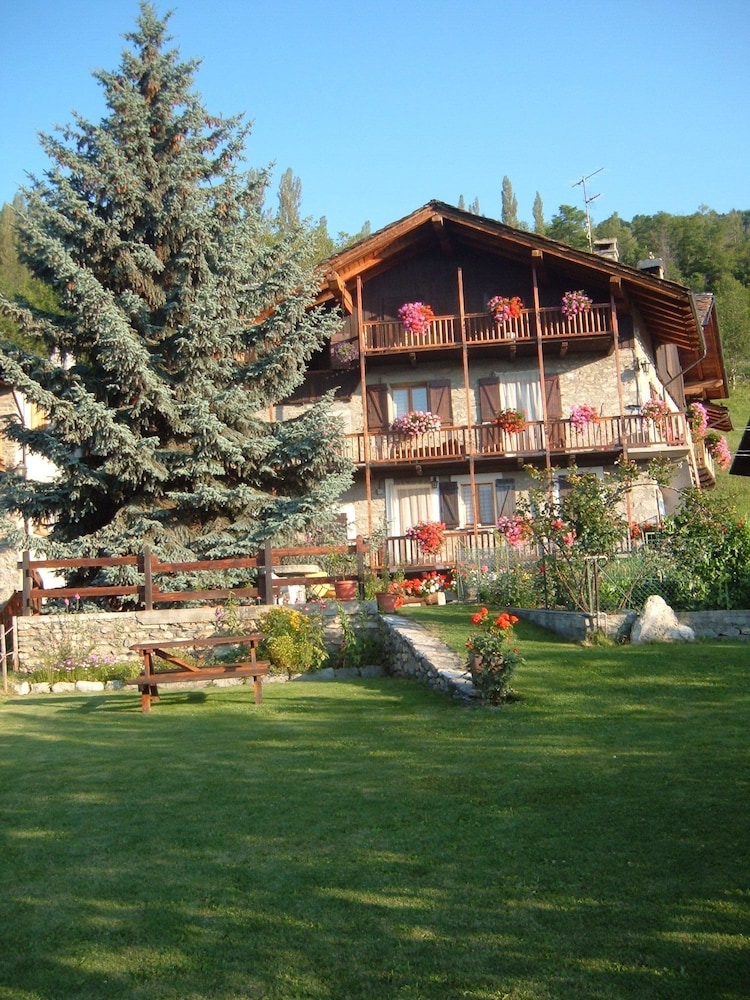 Le Vieux Noyer