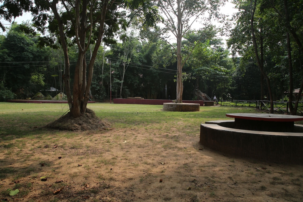 Photo 46