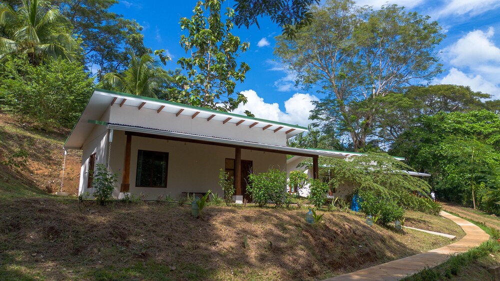 Tarcoles Birding Lodge