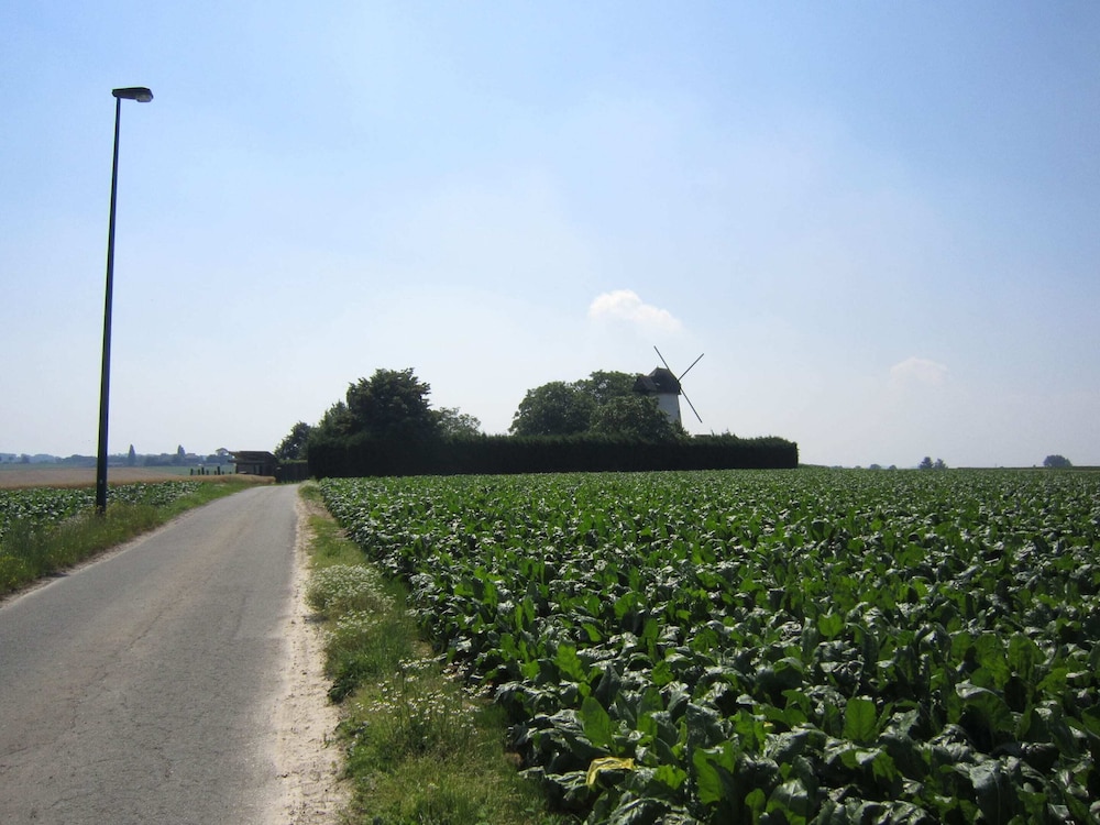 Photo 22