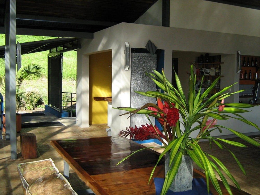 Celeste Mountain Lodge view 2