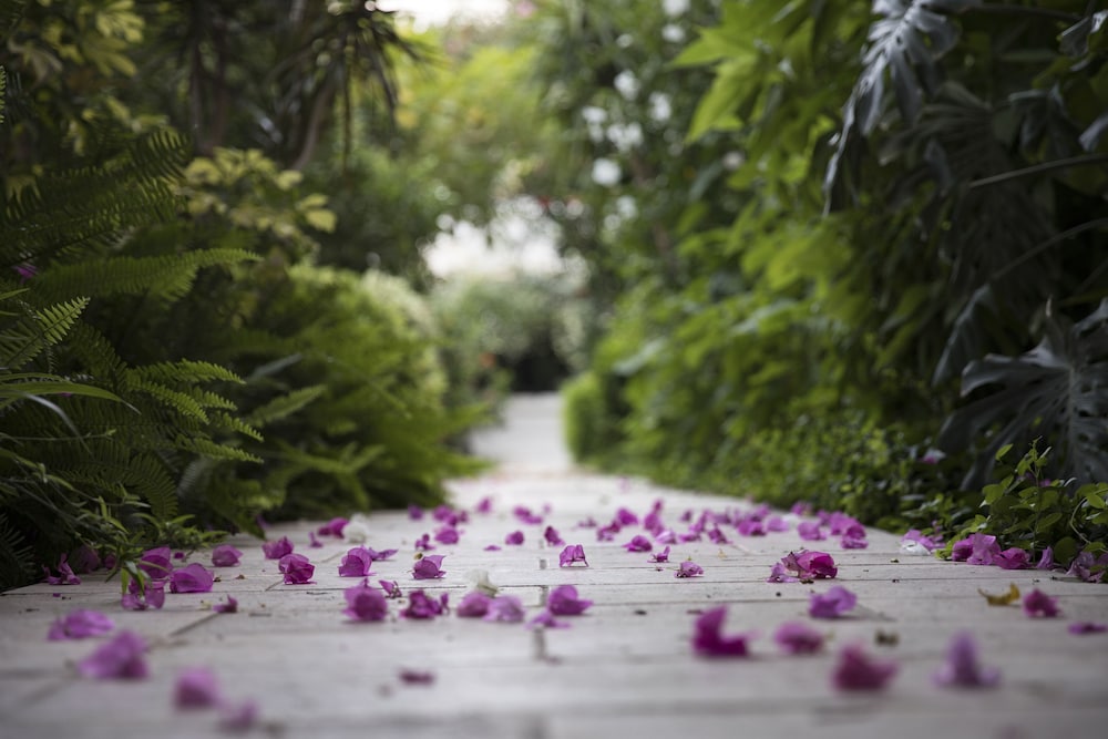 Hotel Karia Princess - Image 10