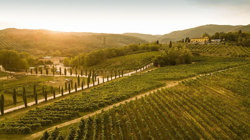 Palagina Il Borgo Agricolo