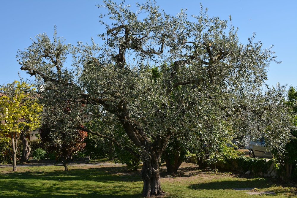Photo 40
