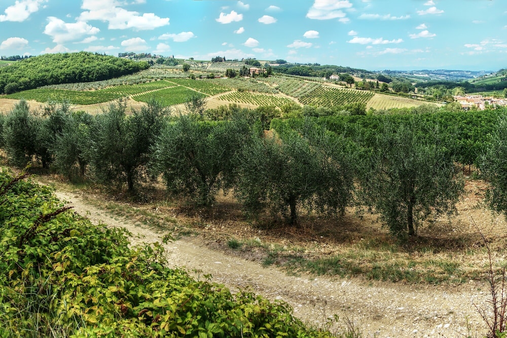Home Boccaccio Terrace and Chianti View