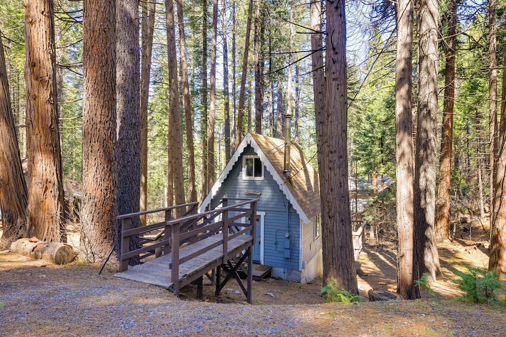 Hike, Ski & Sip: Arnold Cabin 4 Mi to State Park!