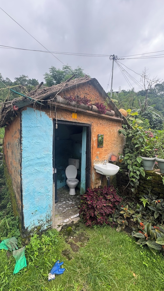 Chipaskot Spot