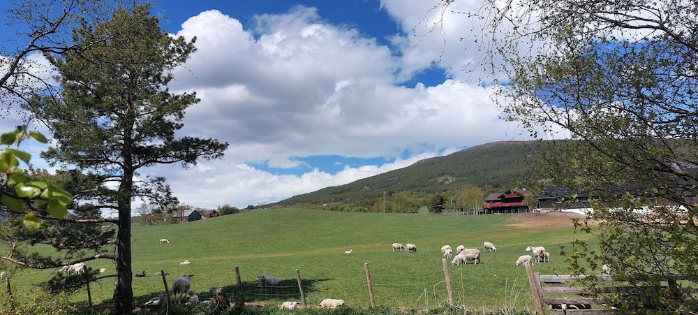 Trollskogen Gård