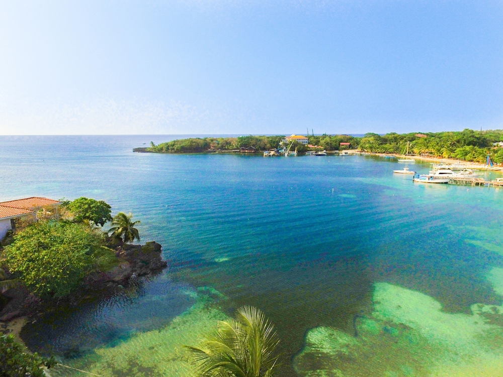 Bella Luna Beach House #226859