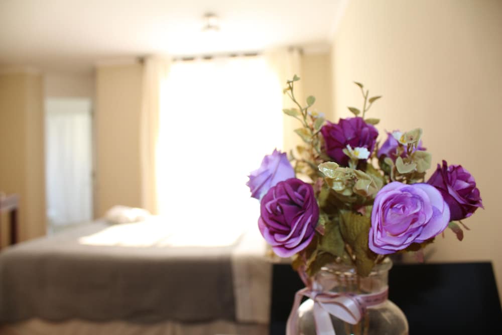 UH ApartHotel Lastarria 70 view 4