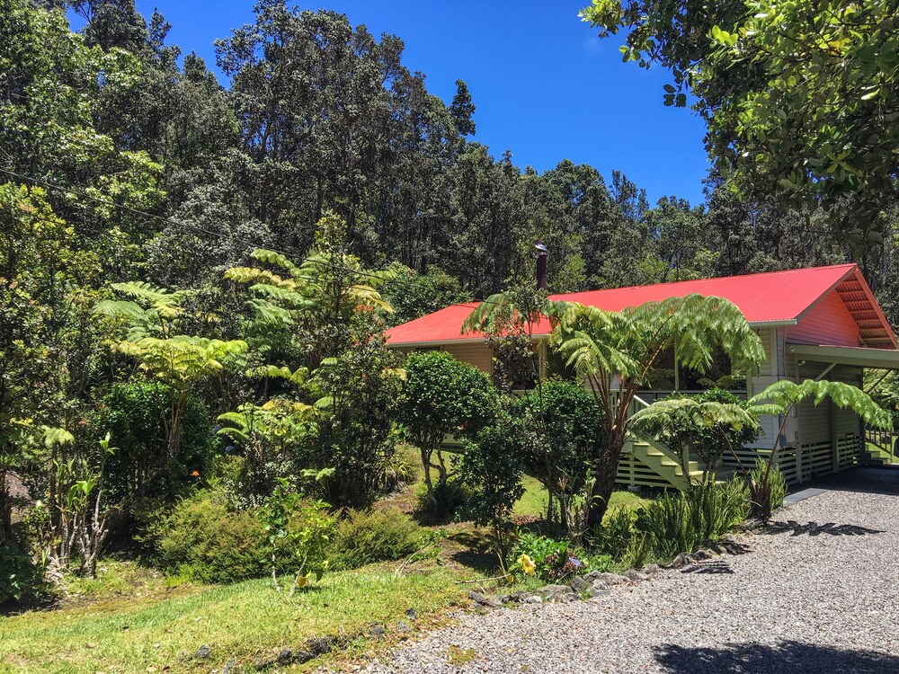 Hale KupuKupu