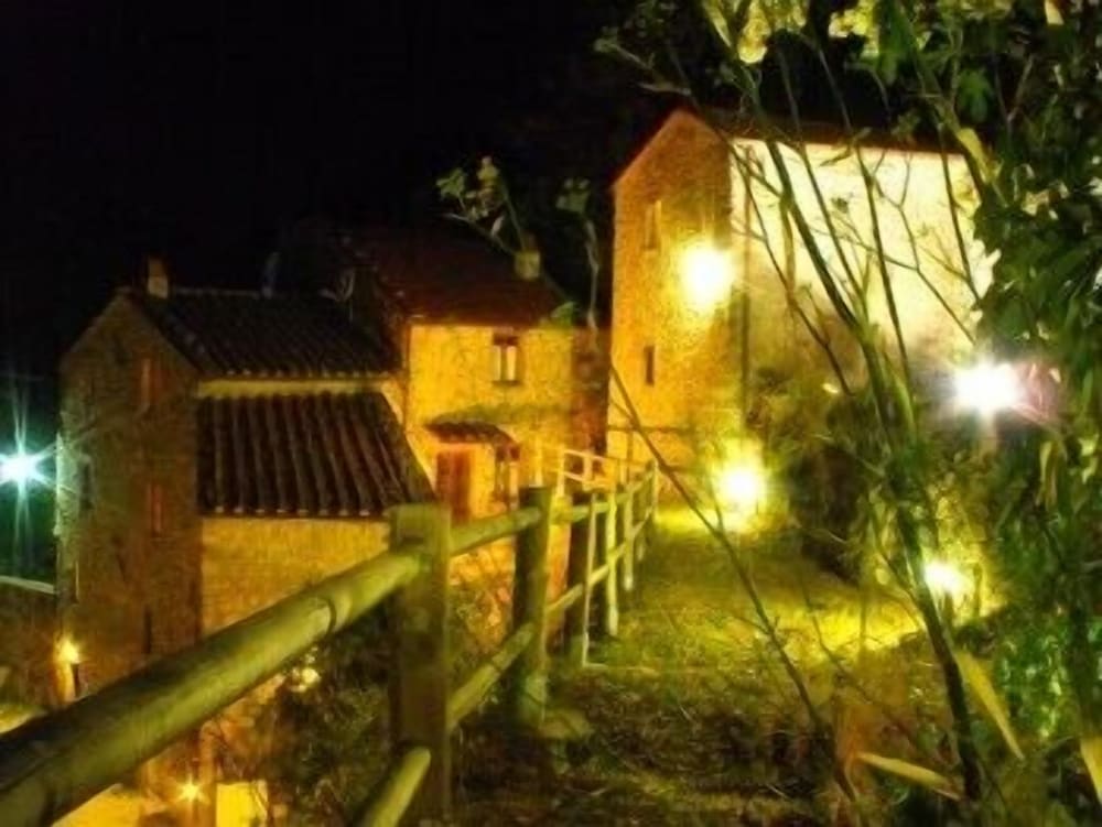 Photo 31