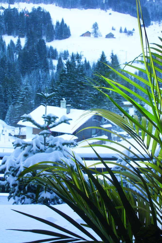 ALP-CHALET Ferienwohnungen Kleinwalsertal