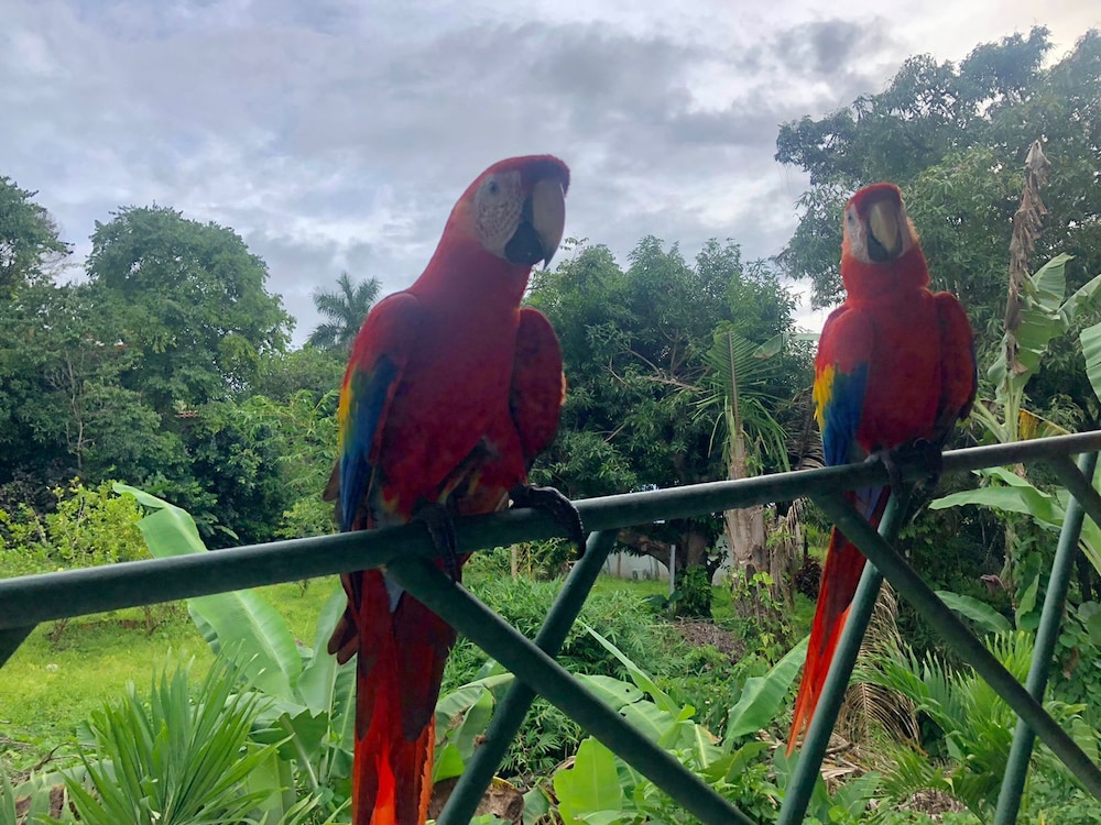Hotel Colibri