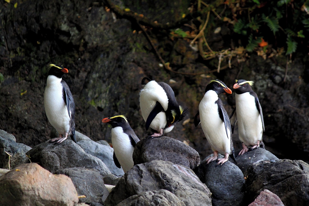 Wilderness Lodge Lake Moeraki