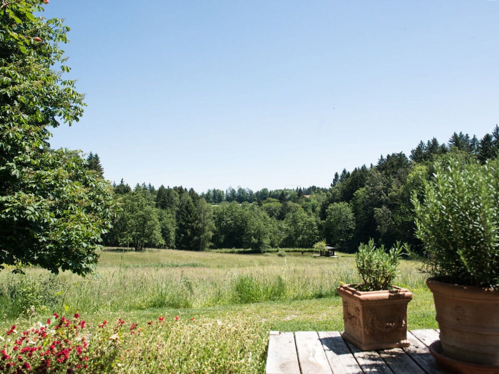 Bergwiesen - Studio House, photo 29