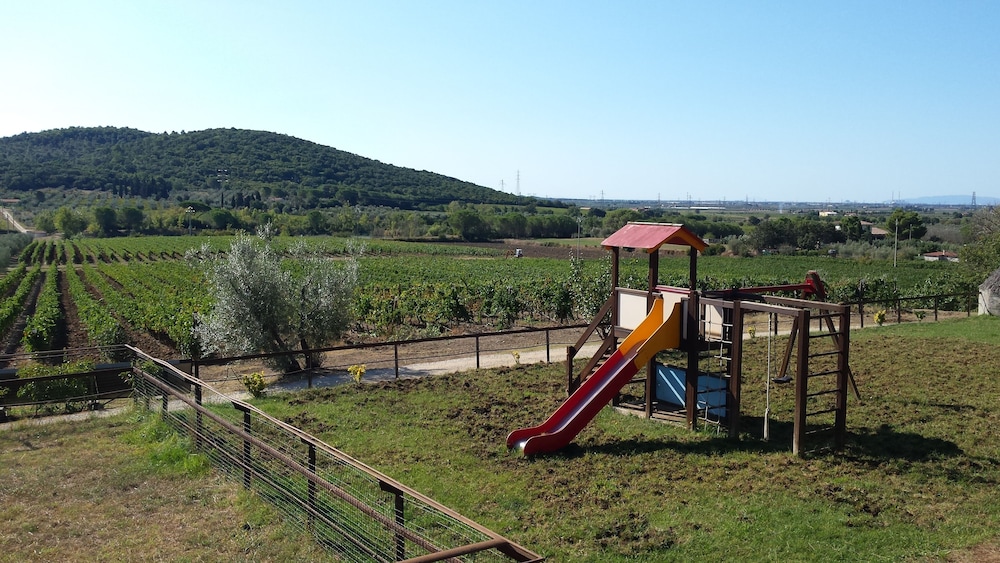Photo 22