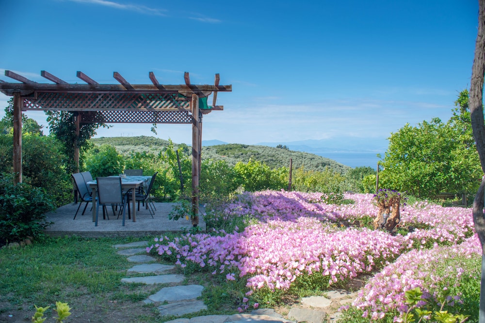 Outdoor Space