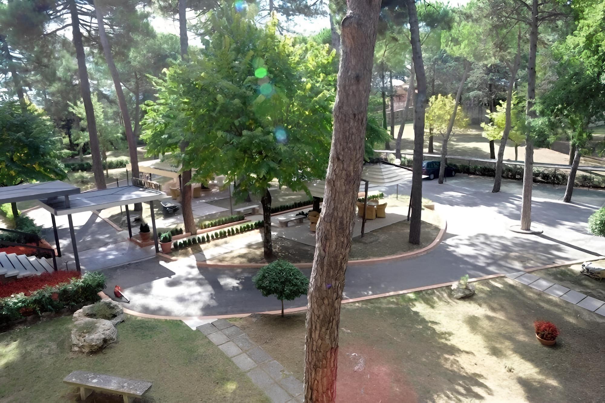 Photo 45