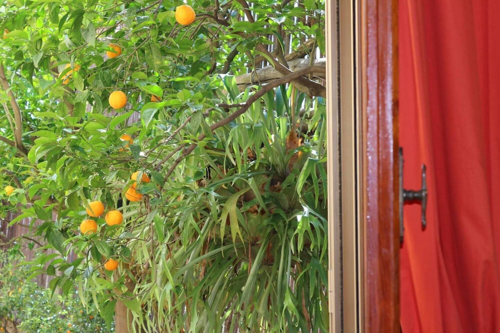 Orange Dreams in Sant Agnello photo 3