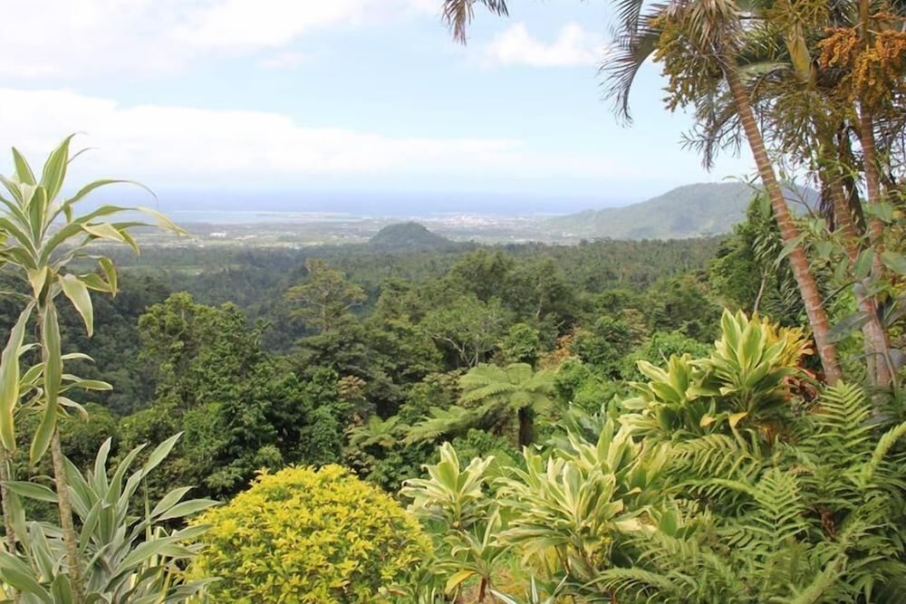 Dave Parker's Eco Lodge