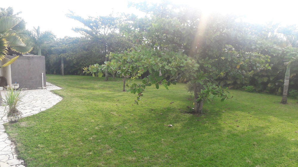 Photo 42