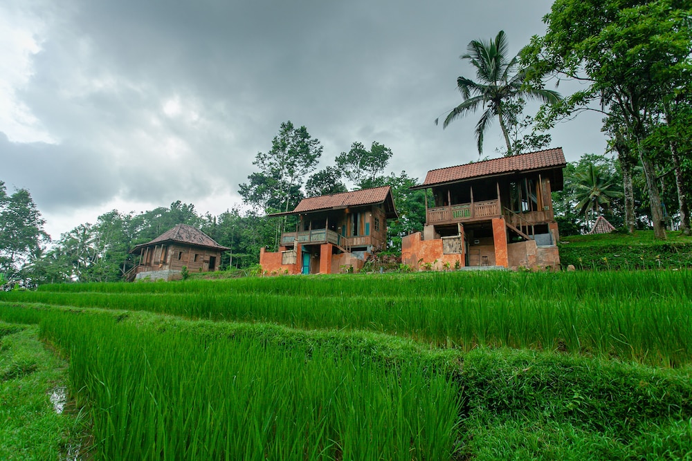 Tepi Sawah Lodge