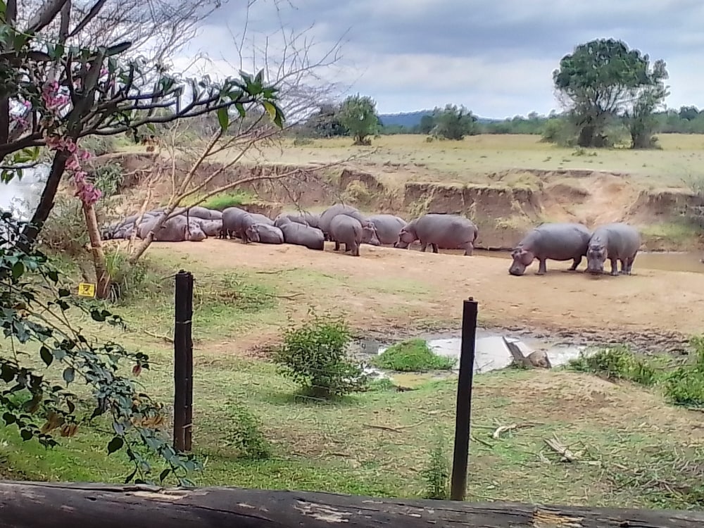 Muthu Mara River Lodge