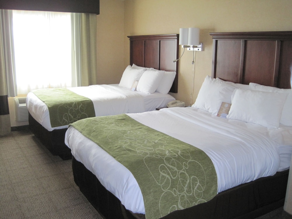 Columbia Vacations - Comfort Suites Columbia - University Area - Property Image 35