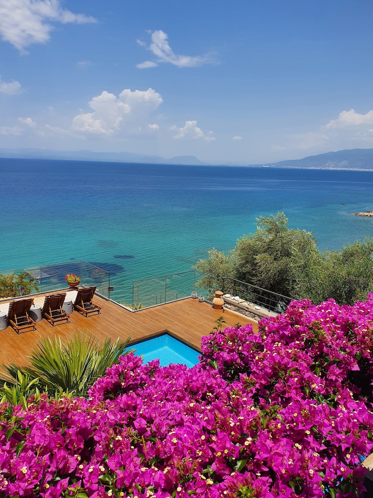 Cape Kitries photo 4