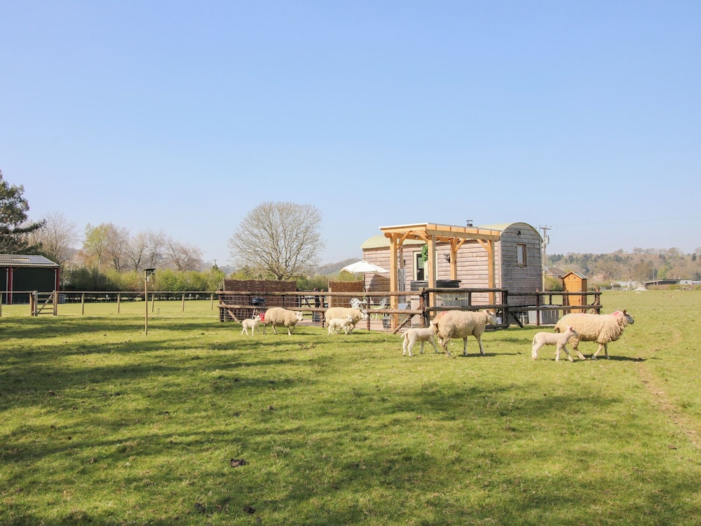 Balwen Shepherd's Hut