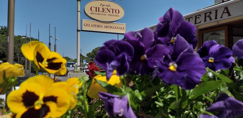 Champagne Rooms photo 2