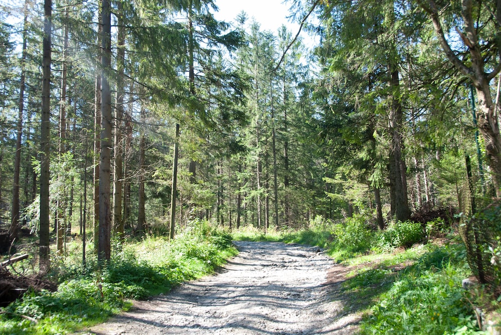 Pensjonat Biały Potok - POLSKIE TATRY S.A.