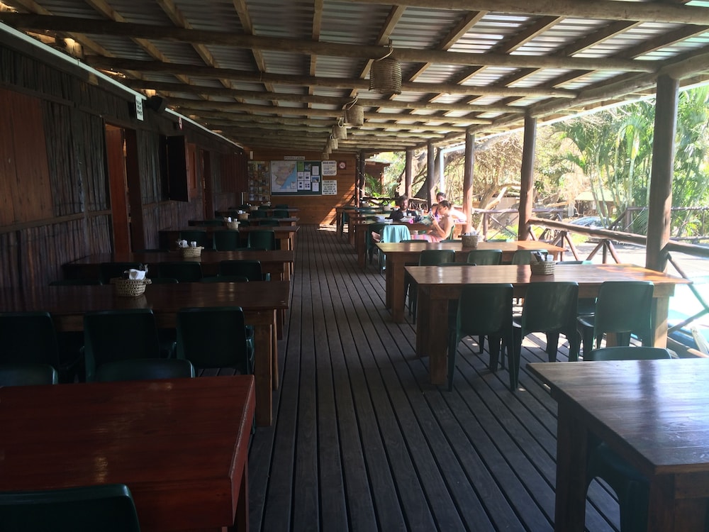 Coral Divers