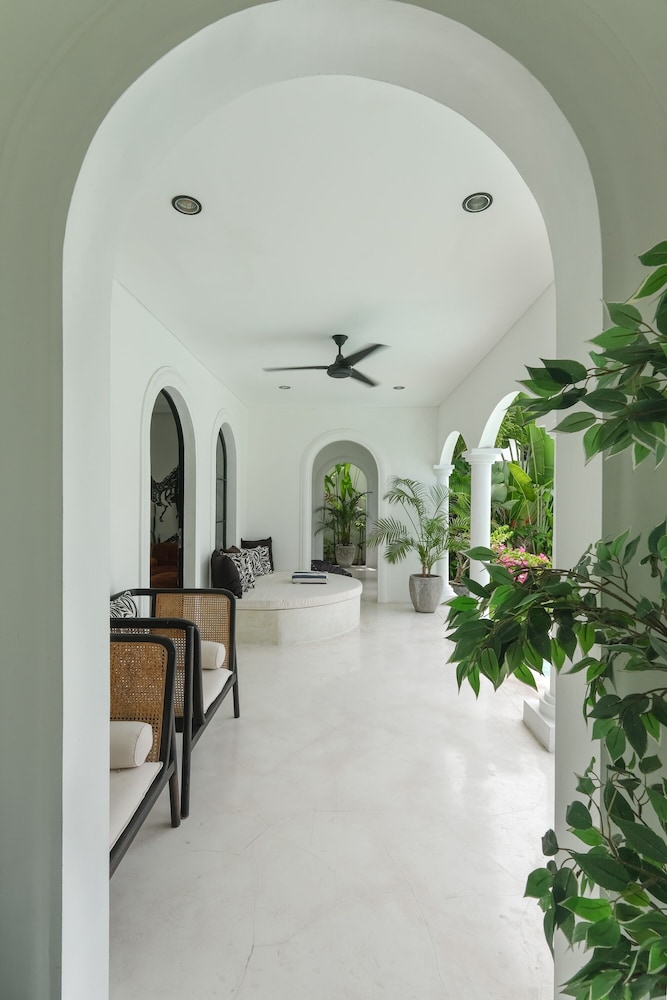 Morning Glory - Image 3