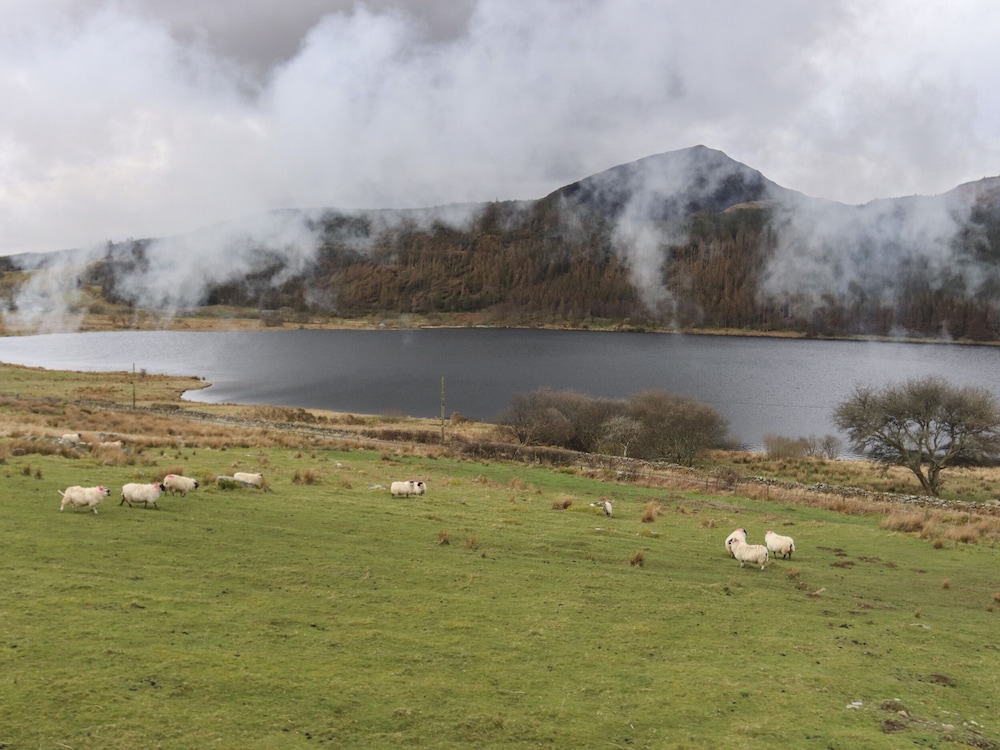 Llys Elen