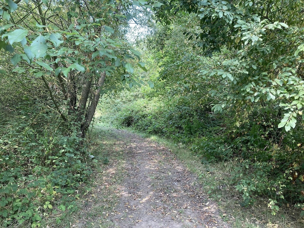 Photo 36