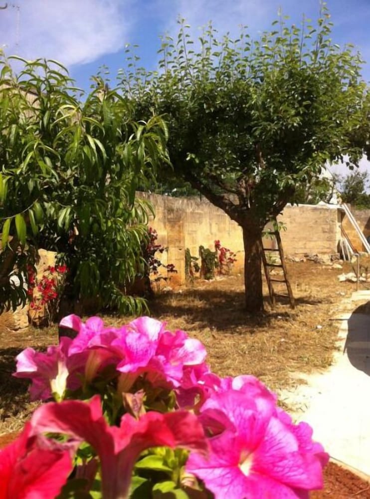 Photo 25