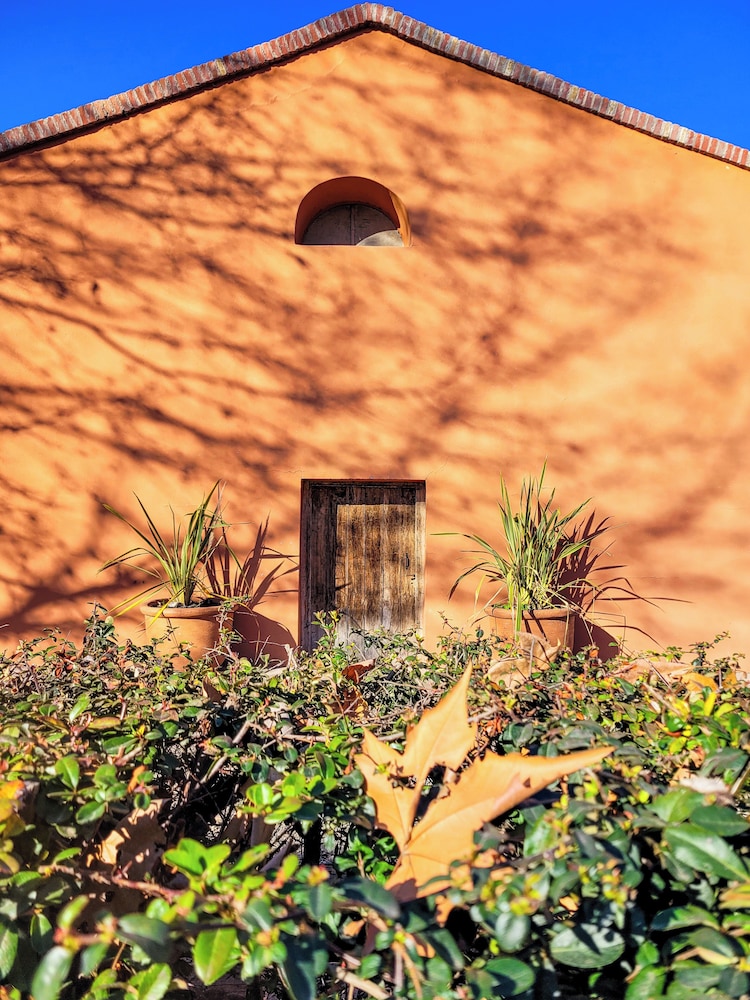Finca La Saucina