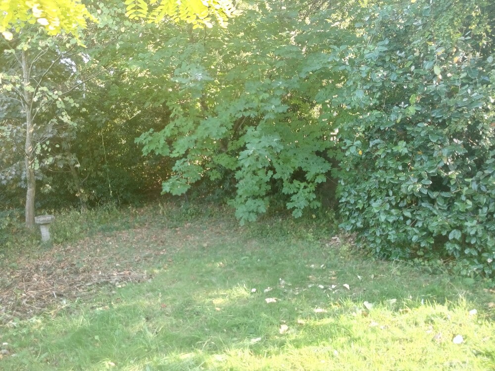 Guildford Vacations - Rooms in Guildford Surrey - Property Image 8