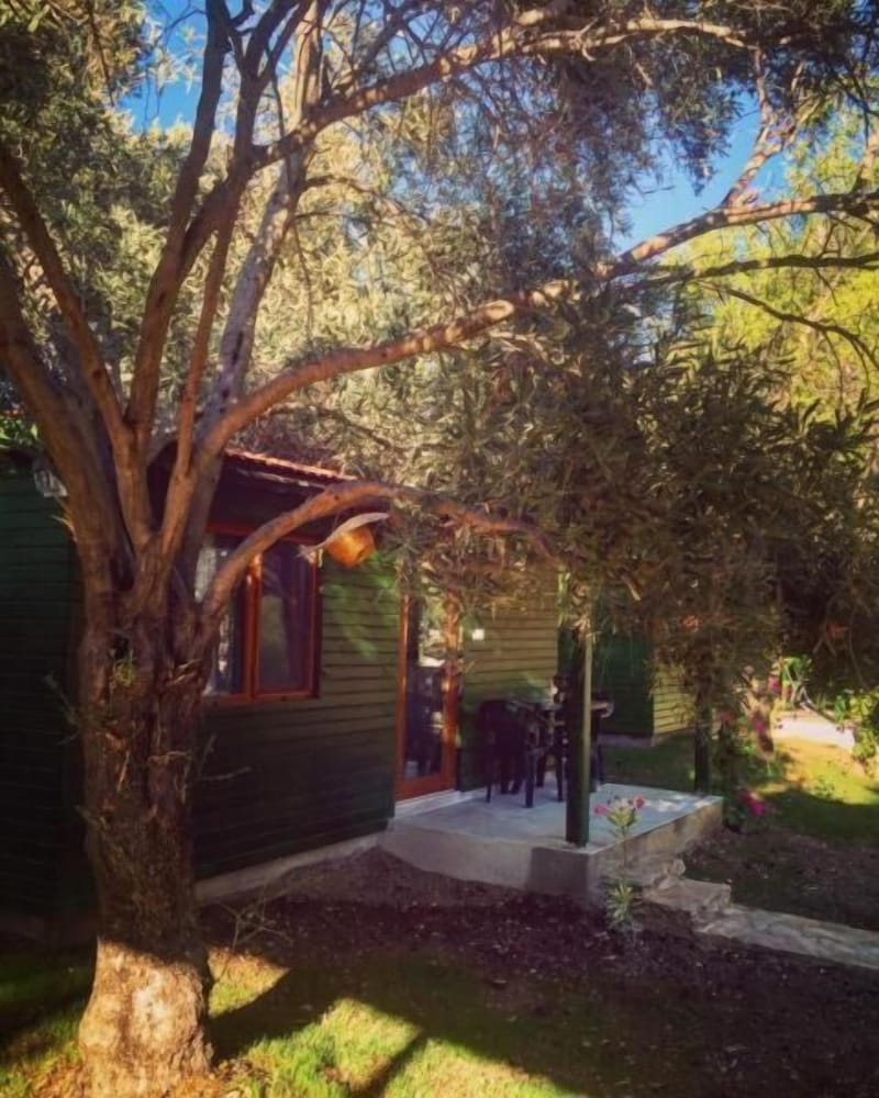 My Bungalov