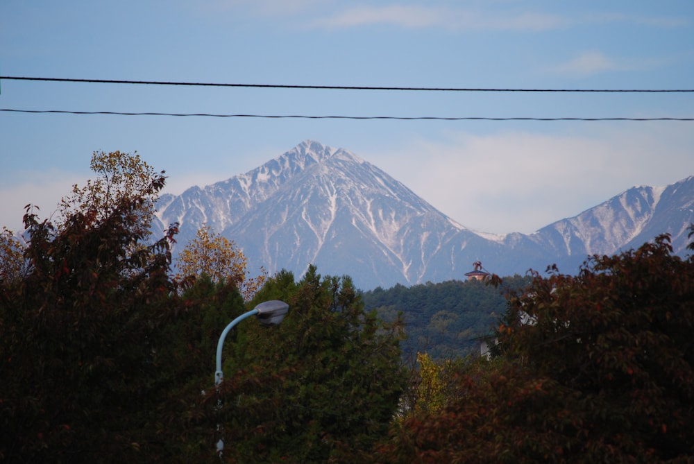 Photo 47