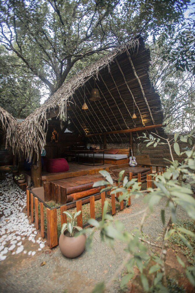 Inn On The Tree Eco Resort Sigiriya view 5
