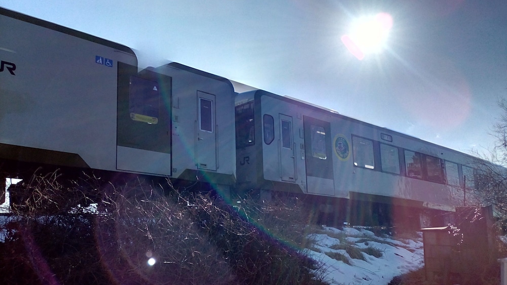 Deerhorn - Hostel