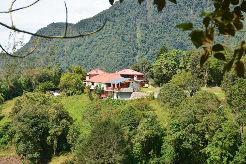 Rutun Orquídeas