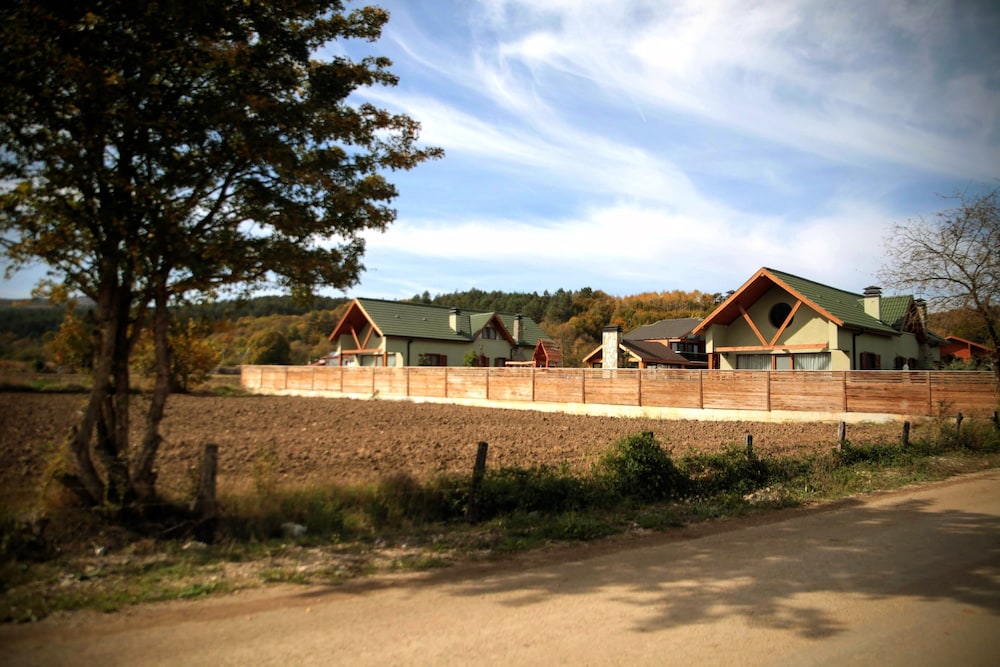 Abant Cozy Homes