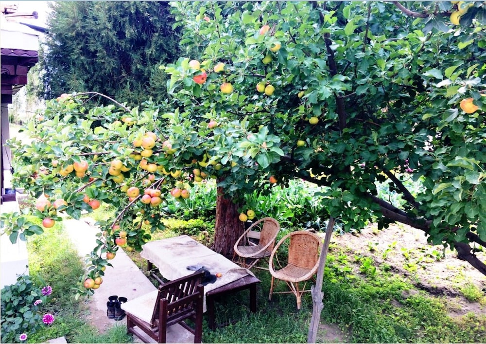 TIH Lharje Resort - Nubra
