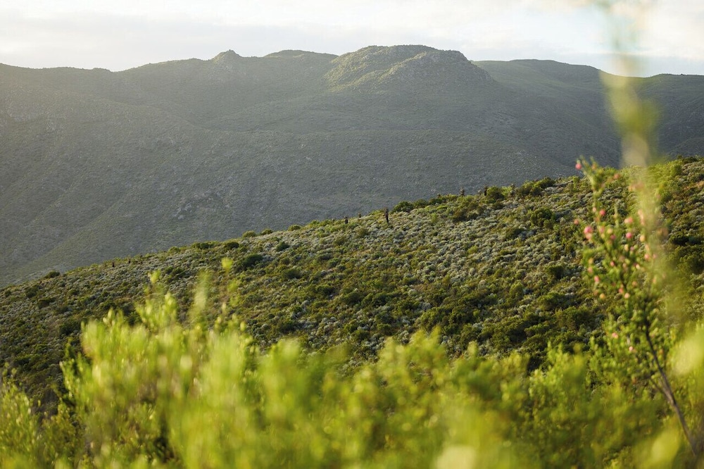 Le Petit Karoo